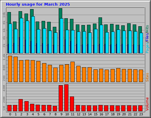 Hourly usage for March 2025